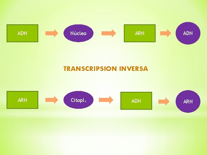 ADN Núcleo ARN ADN TRANSCRIPSION INVERSA ARN Citopl. ADN ARN 