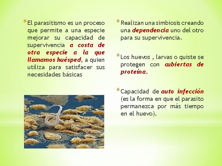 * El parasitismo es un proceso que permite a una especie mejorar su capacidad