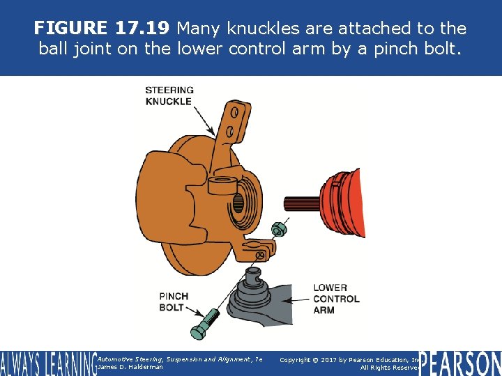 FIGURE 17. 19 Many knuckles are attached to the ball joint on the lower