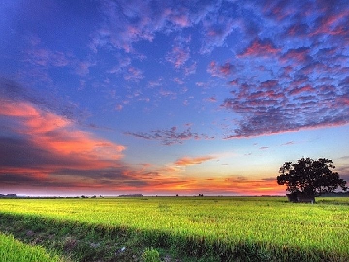 AGROBIO RECREATION HOSTEL & RESIDENTIAL MULTI- PURPOSE HALL TRANSPORTATION MEDICAL CENTRE 