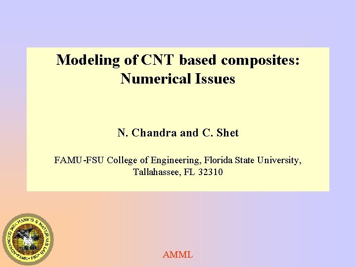 Modeling of CNT based composites: Numerical Issues N. Chandra and C. Shet FAMU-FSU College