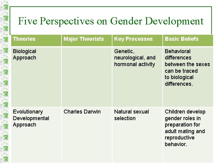 Five Perspectives on Gender Development Theories Major Theorists Biological Approach Evolutionary Developmental Approach Charles
