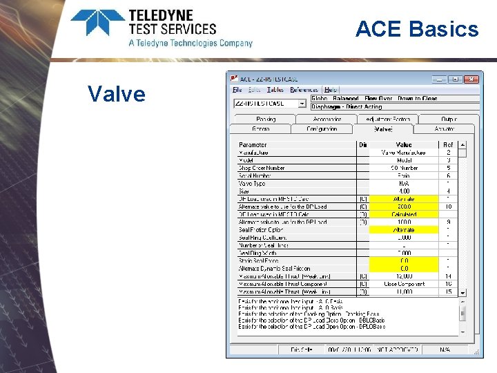 ACE Basics Valve 