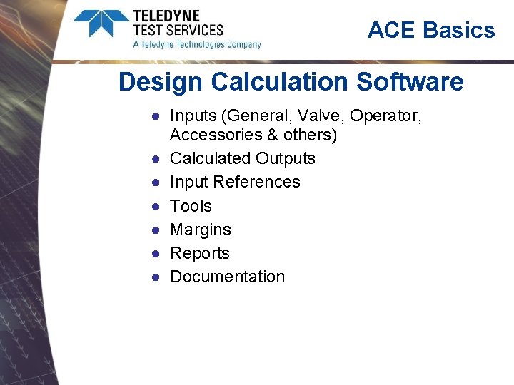 ACE Basics Design Calculation Software ● Inputs (General, Valve, Operator, Accessories & others) ●