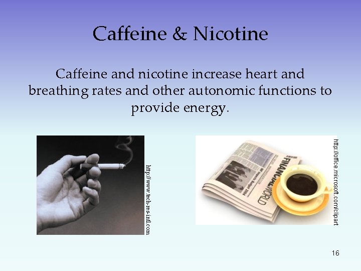 Caffeine & Nicotine Caffeine and nicotine increase heart and breathing rates and other autonomic
