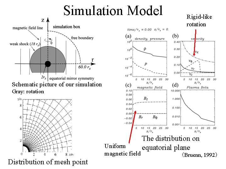 Simulation Model Rigid-like rotation Schematic picture of our simulation Gray: rotation Uniform magnetic field