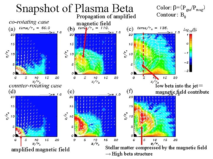 Snapshot of Plasma Beta Propagation of amplified magnetic field Color: b=（Pgas/Pmag） Contour： Bf low