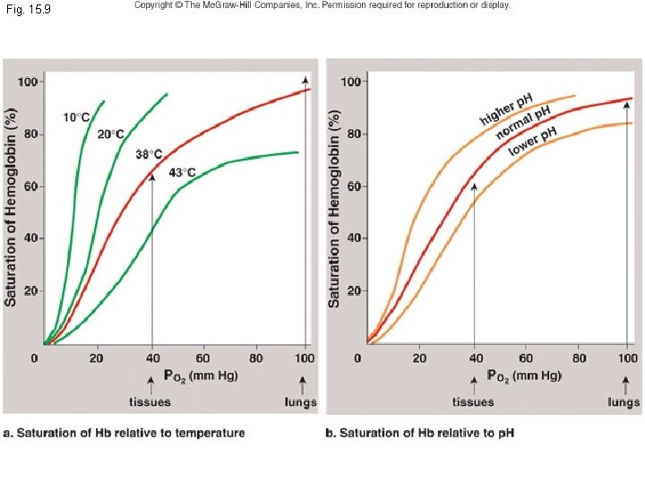 Fig. 15. 9 