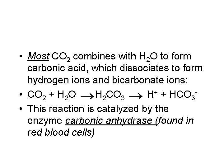  • Most CO 2 combines with H 2 O to form carbonic acid,