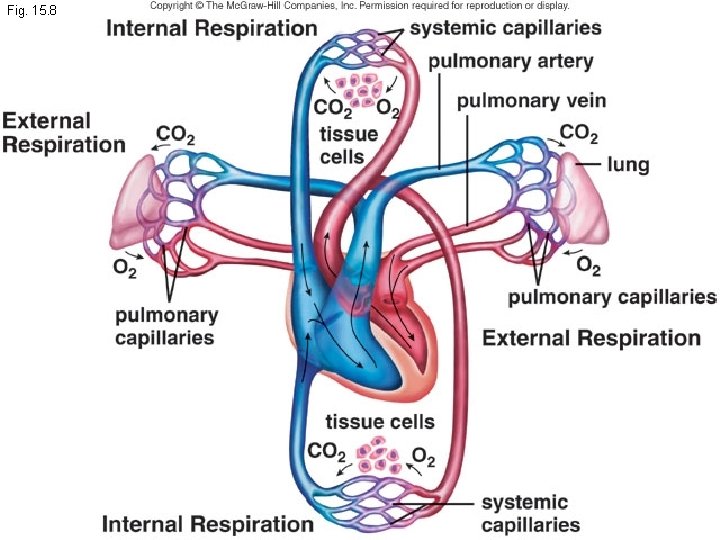 Fig. 15. 8 