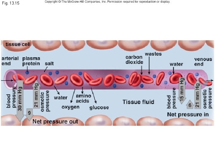 Fig. 13. 15 Fig. 13. 15