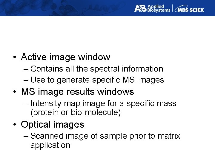  • Active image window – Contains all the spectral information – Use to