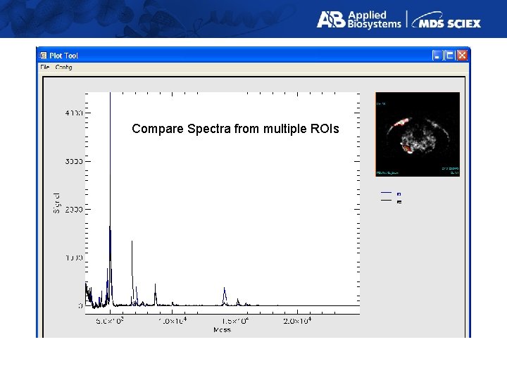 Compare Spectra from multiple ROIs 