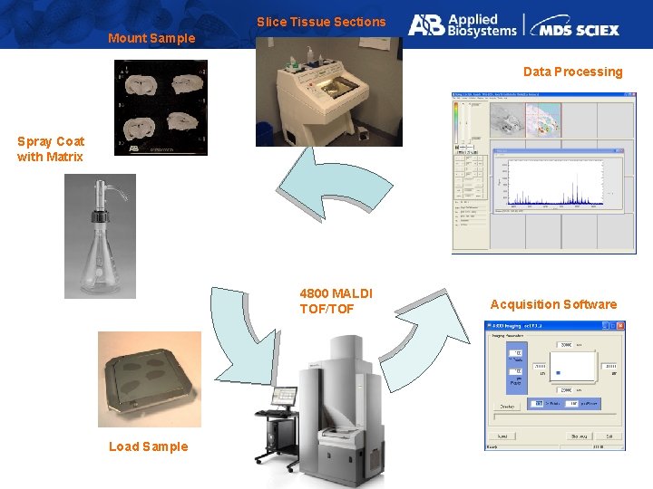 Slice Tissue Sections Mount Sample Data Processing Spray Coat with Matrix 4800 MALDI TOF/TOF