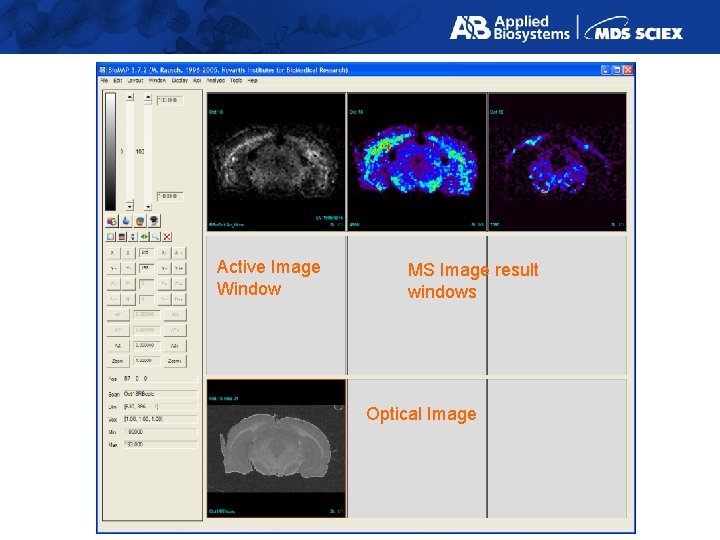 Active Image Window MS Image result windows Optical Image 
