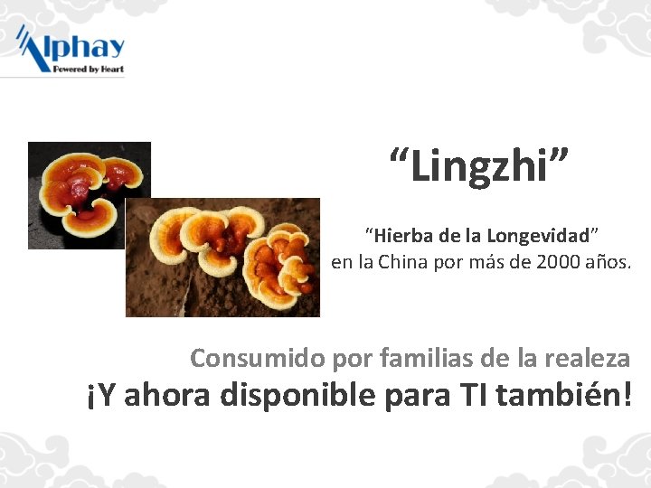 “Lingzhi” “Hierba de la Longevidad” en la China por más de 2000 años. Consumido
