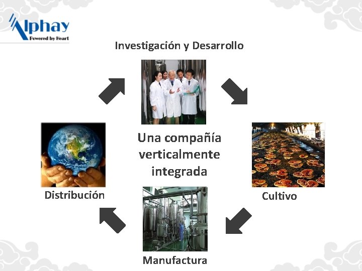 Investigación y Desarrollo Una compañía verticalmente integrada Distribución Cultivo Manufactura 