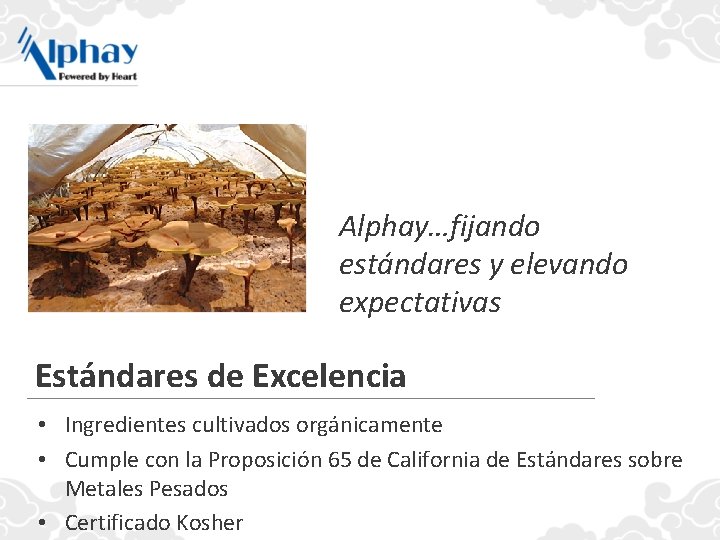 Alphay…fijando estándares y elevando expectativas Estándares de Excelencia • Ingredientes cultivados orgánicamente • Cumple