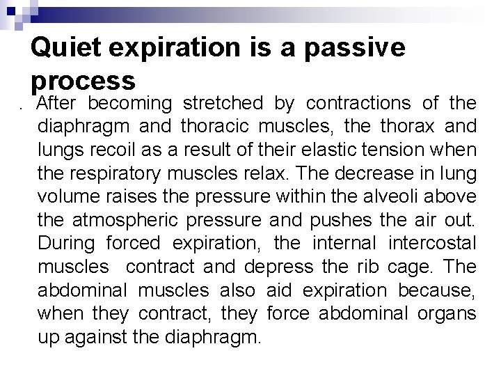 Quiet expiration is a passive process . After becoming stretched by contractions of the Quiet expiration is a passive process . After becoming stretched by contractions of the