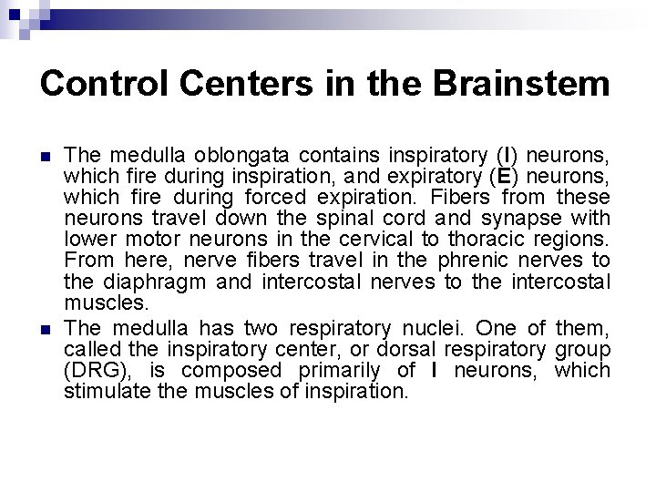 Control Centers in the Brainstem n n The medulla oblongata contains inspiratory (I) neurons, Control Centers in the Brainstem n n The medulla oblongata contains inspiratory (I) neurons,