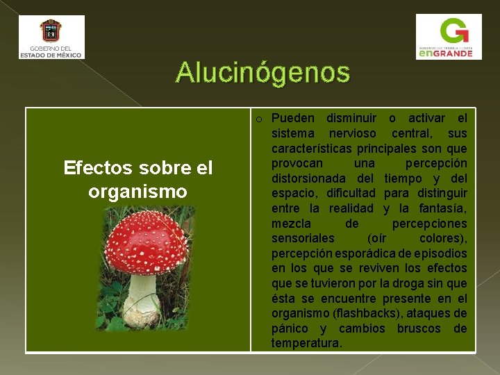 Alucinógenos Efectos sobre el organismo o Pueden disminuir o activar el sistema nervioso central,