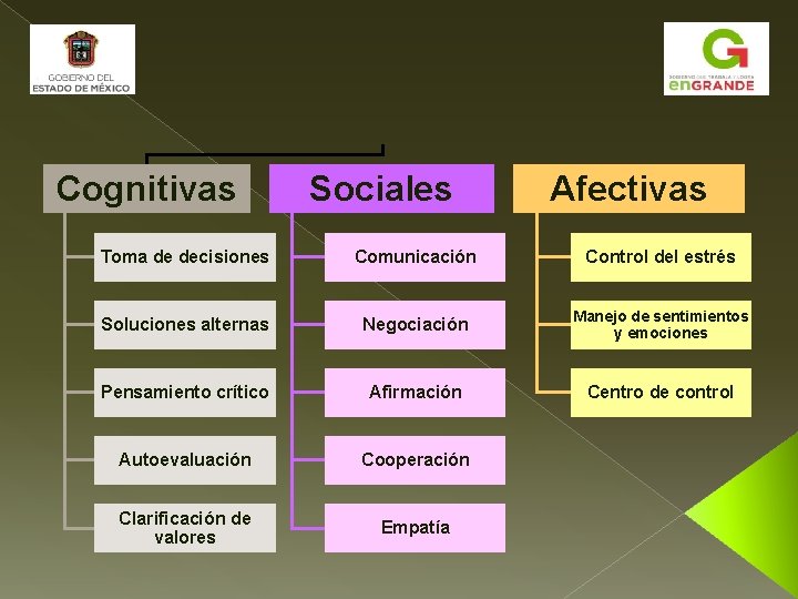 Cognitivas Sociales Afectivas Toma de decisiones Comunicación Control del estrés Soluciones alternas Negociación Manejo