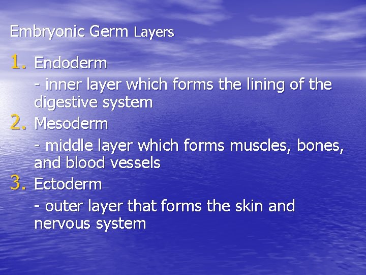 Embryonic Germ Layers 1. Endoderm 2. 3. - inner layer which forms the lining