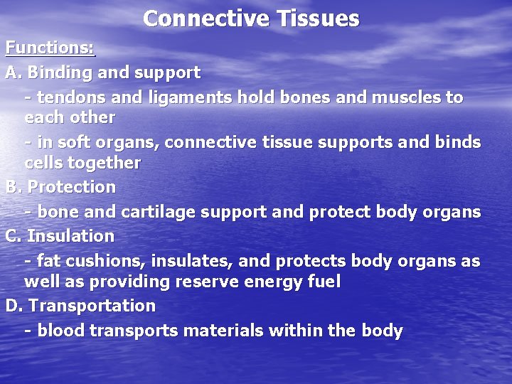 Connective Tissues Functions: A. Binding and support - tendons and ligaments hold bones and