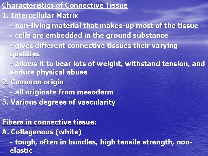 Characteristics of Connective Tissue 1. Intercellular Matrix - non-living material that makes-up most of