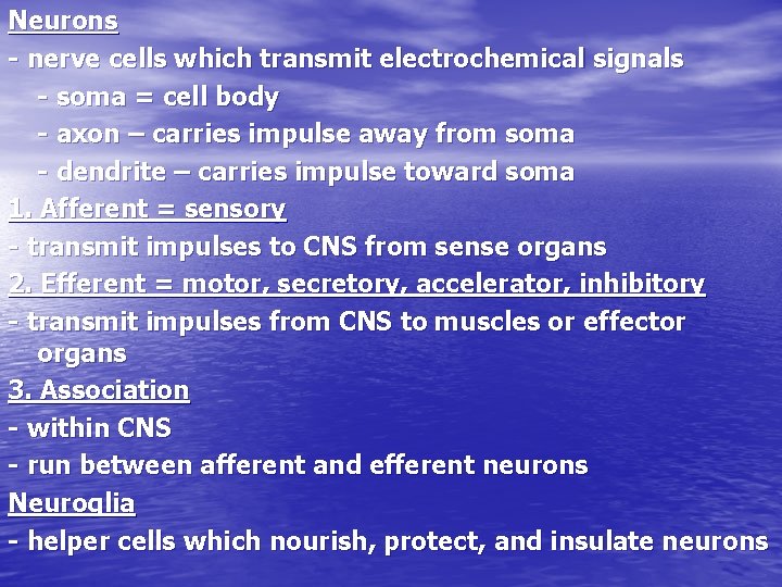 Neurons - nerve cells which transmit electrochemical signals - soma = cell body -