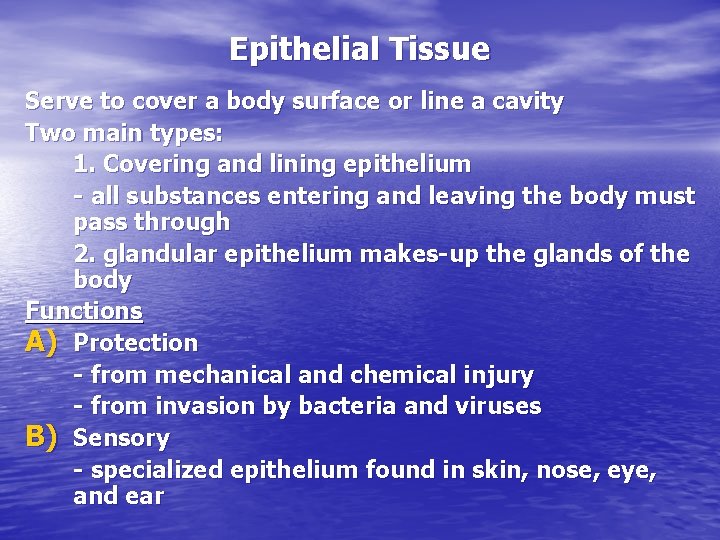 Epithelial Tissue Serve to cover a body surface or line a cavity Two main