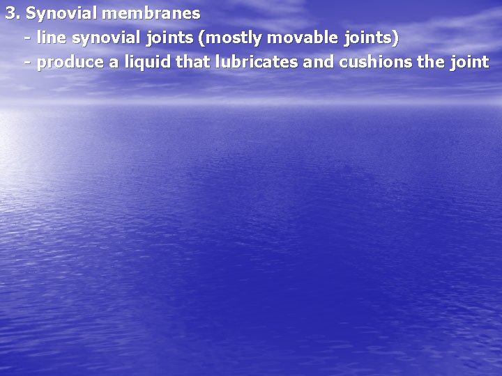 3. Synovial membranes - line synovial joints (mostly movable joints) - produce a liquid