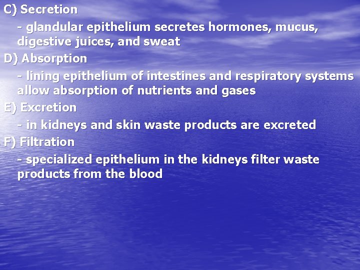 C) Secretion - glandular epithelium secretes hormones, mucus, digestive juices, and sweat D) Absorption