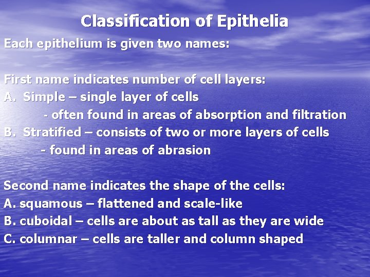 Classification of Epithelia Each epithelium is given two names: First name indicates number of