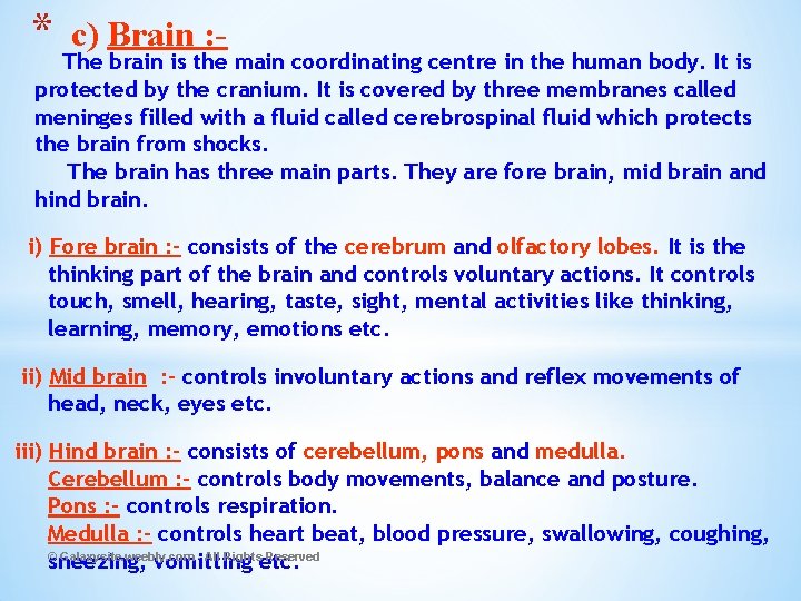 * c) Brain : - The brain is the main coordinating centre in the