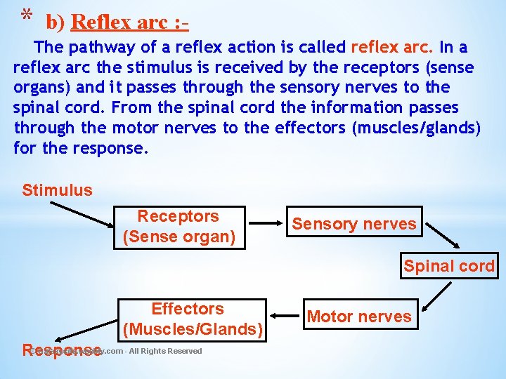 * b) Reflex arc : - The pathway of a reflex action is called