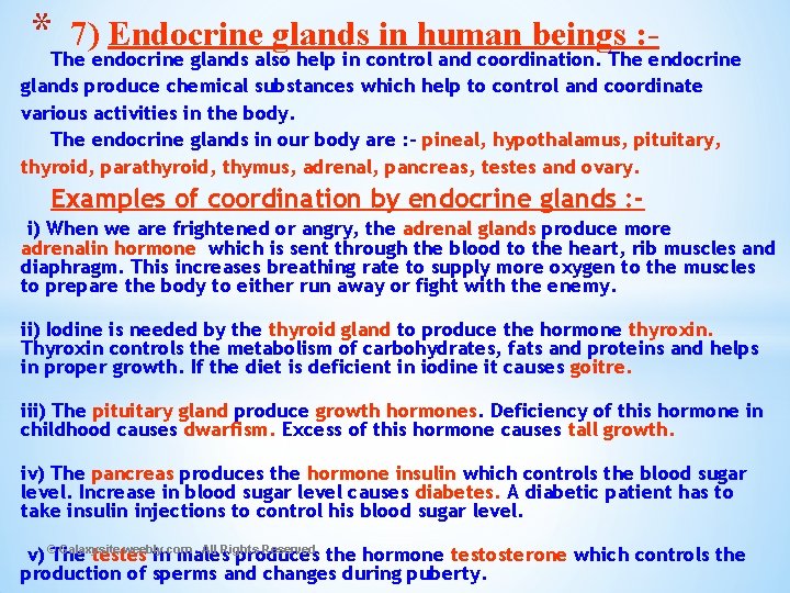 *The 7)endocrine Endocrine glands in human beings : glands also help in control and