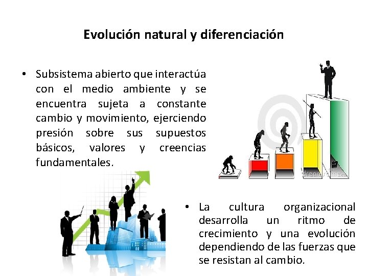 Evolución natural y diferenciación • Subsistema abierto que interactúa con el medio ambiente y