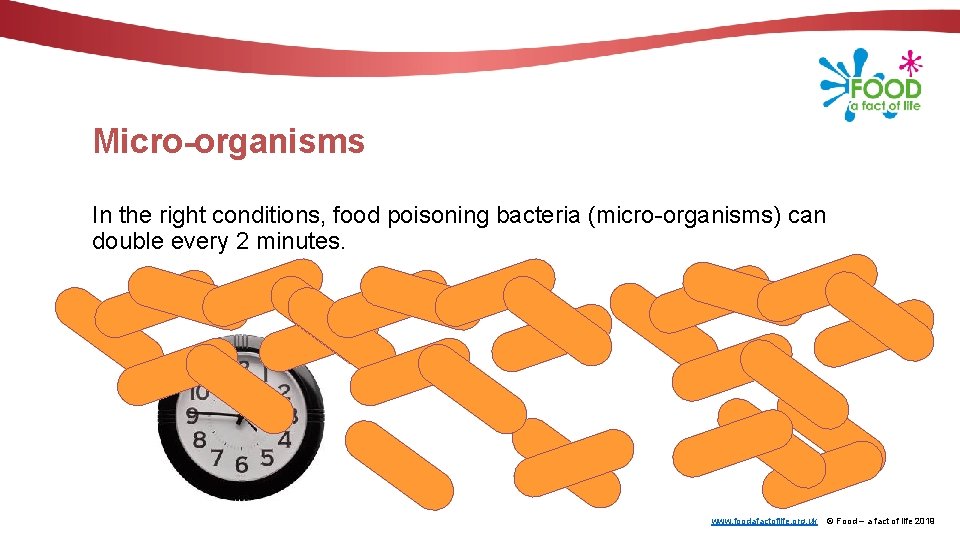 Micro-organisms In the right conditions, food poisoning bacteria (micro-organisms) can double every 2 minutes.
