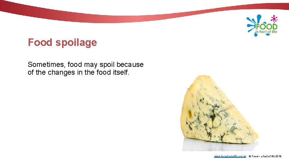 Food spoilage Sometimes, food may spoil because of the changes in the food itself.