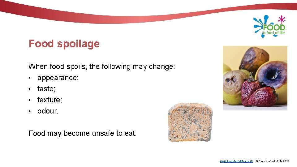 Food spoilage When food spoils, the following may change: • appearance; • taste; •