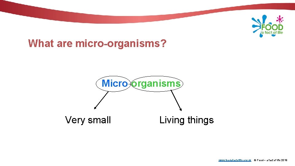 What are micro-organisms? Micro-organisms Very small Living things www. foodafactoflife. org. uk © Food