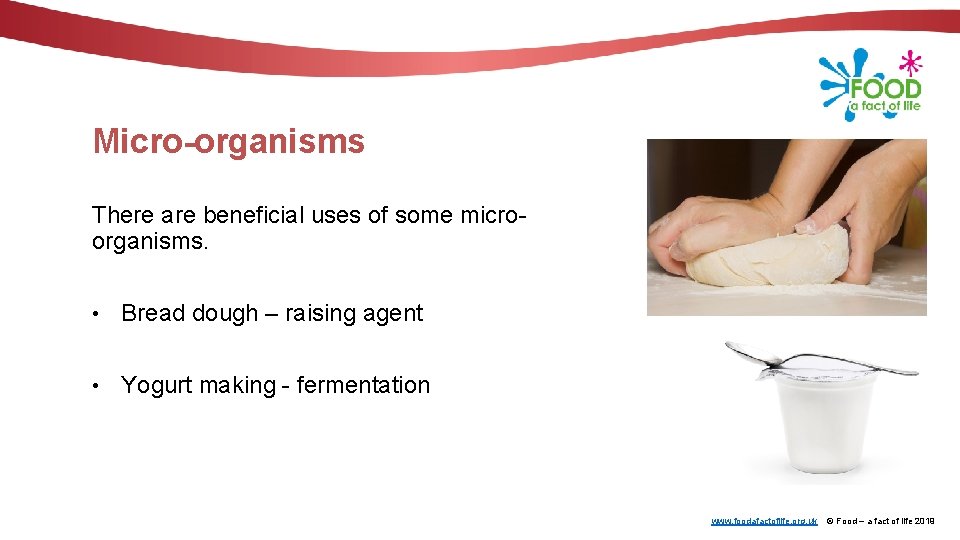 Micro-organisms There are beneficial uses of some microorganisms. • Bread dough – raising agent