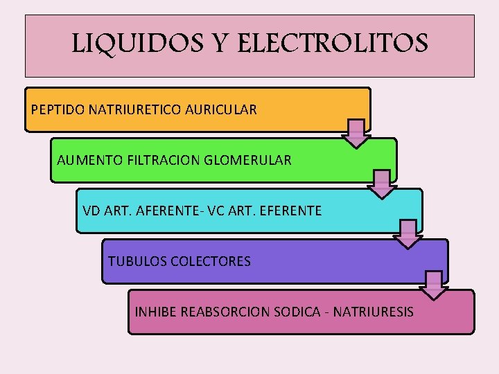 LIQUIDOS Y ELECTROLITOS PEPTIDO NATRIURETICO AURICULAR AUMENTO FILTRACION GLOMERULAR VD ART. AFERENTE- VC ART. LIQUIDOS Y ELECTROLITOS PEPTIDO NATRIURETICO AURICULAR AUMENTO FILTRACION GLOMERULAR VD ART. AFERENTE- VC ART.