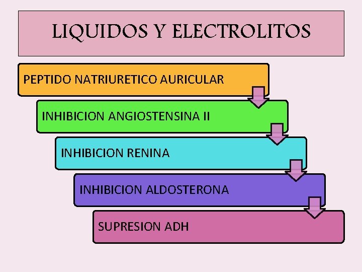 LIQUIDOS Y ELECTROLITOS PEPTIDO NATRIURETICO AURICULAR INHIBICION ANGIOSTENSINA II INHIBICION RENINA INHIBICION ALDOSTERONA SUPRESION LIQUIDOS Y ELECTROLITOS PEPTIDO NATRIURETICO AURICULAR INHIBICION ANGIOSTENSINA II INHIBICION RENINA INHIBICION ALDOSTERONA SUPRESION