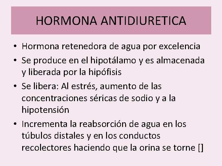 HORMONA ANTIDIURETICA • Hormona retenedora de agua por excelencia • Se produce en el HORMONA ANTIDIURETICA • Hormona retenedora de agua por excelencia • Se produce en el