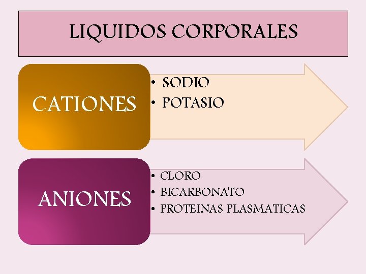 LIQUIDOS CORPORALES CATIONES ANIONES • SODIO • POTASIO • CLORO • BICARBONATO • PROTEINAS LIQUIDOS CORPORALES CATIONES ANIONES • SODIO • POTASIO • CLORO • BICARBONATO • PROTEINAS
