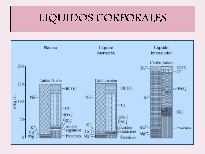 LIQUIDOS CORPORALES LIQUIDOS CORPORALES