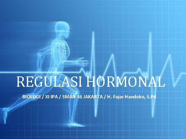 REGULASI HORMONAL BIOLOGI / XI IPA / SMAN 46 JAKARTA / H. Fajar Handoko,