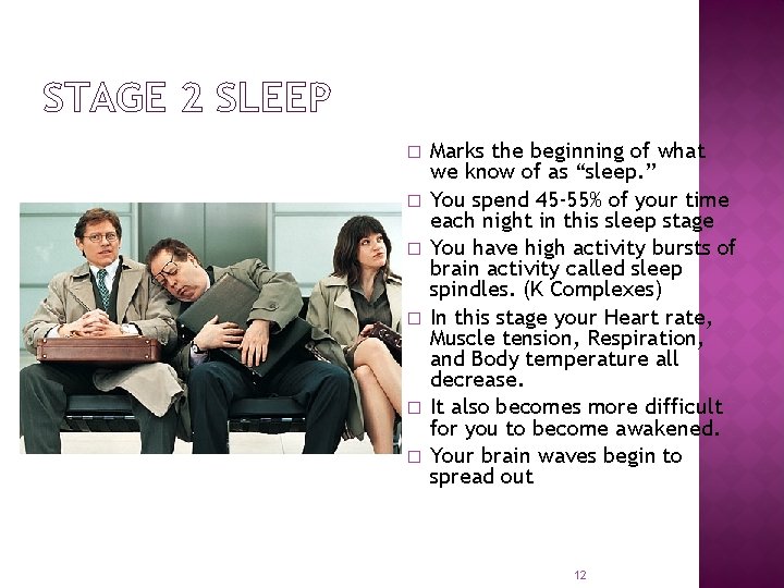 STAGE 2 SLEEP � � � Marks the beginning of what we know of